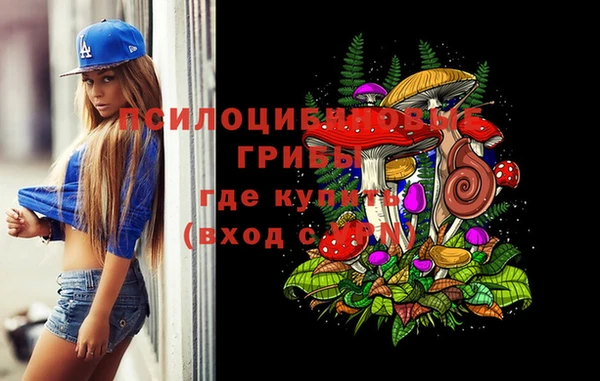 каннабис Аркадак