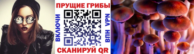 нарко площадка формула  Аткарск  Псилоцибиновые грибы ЛСД 